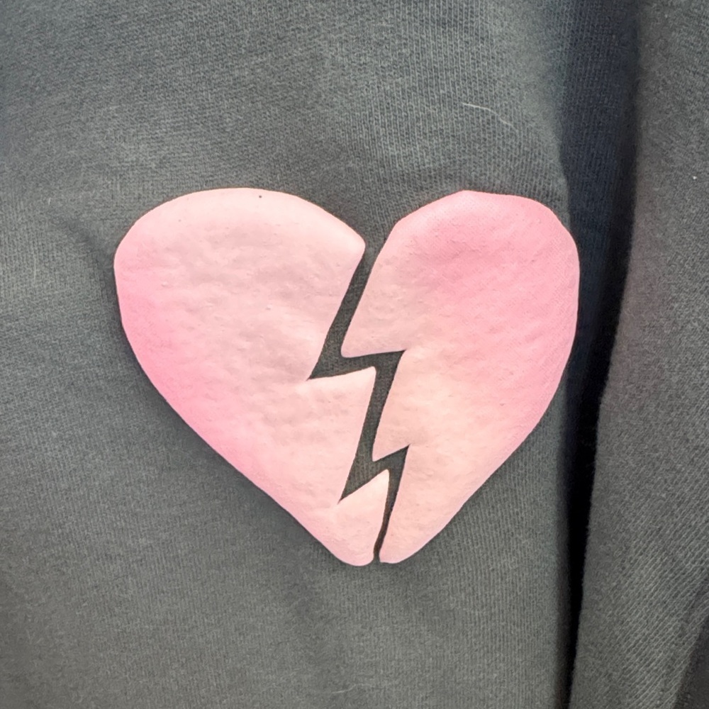 Wildfox Gray Sweatshirt with Pink Text - Picture 4 of 5